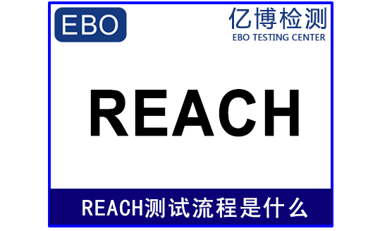 reach测试流程